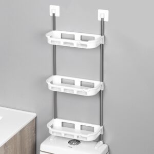 Toilet rack